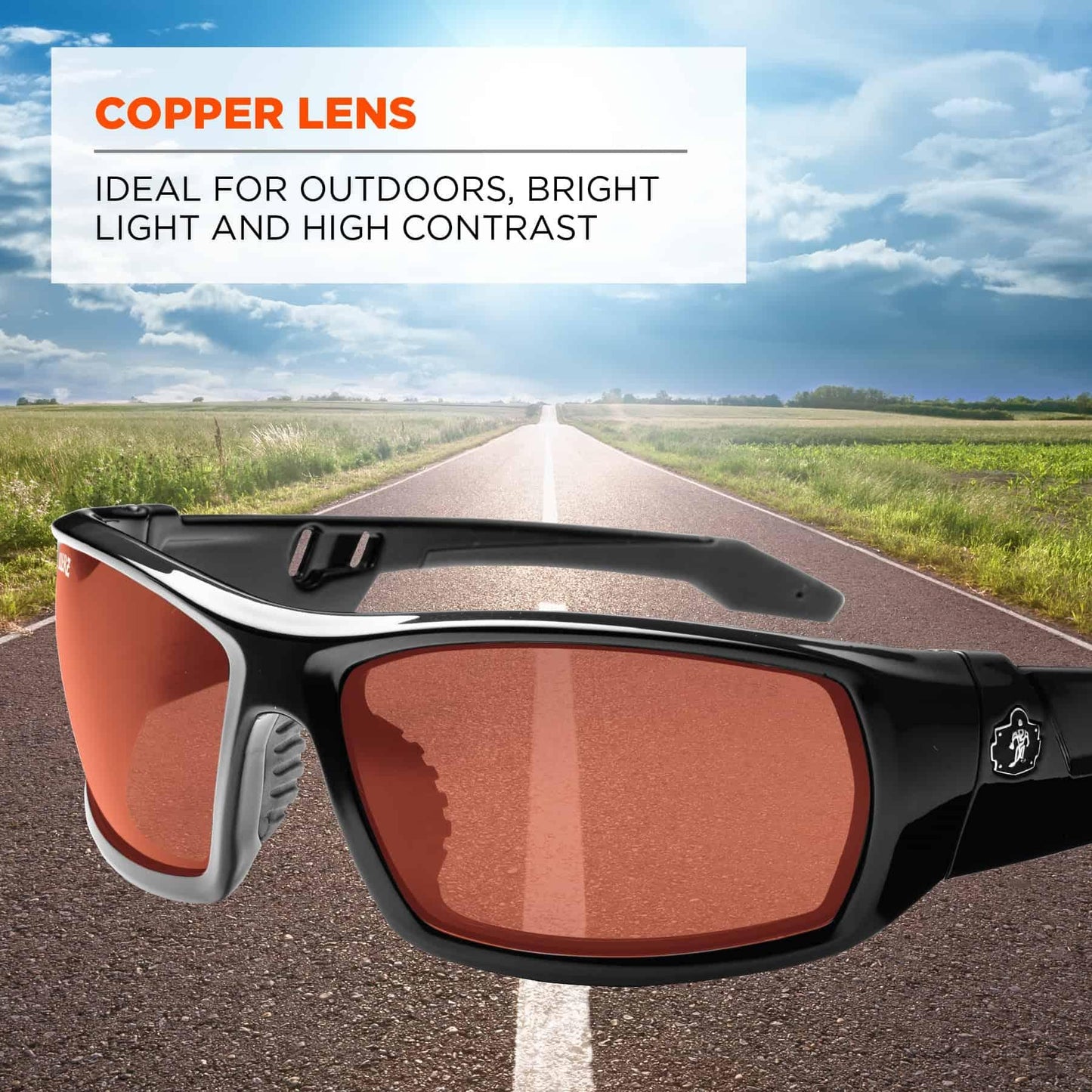 Clear Lens Glasses - Ergodyne - Durable Black Frame - Safety