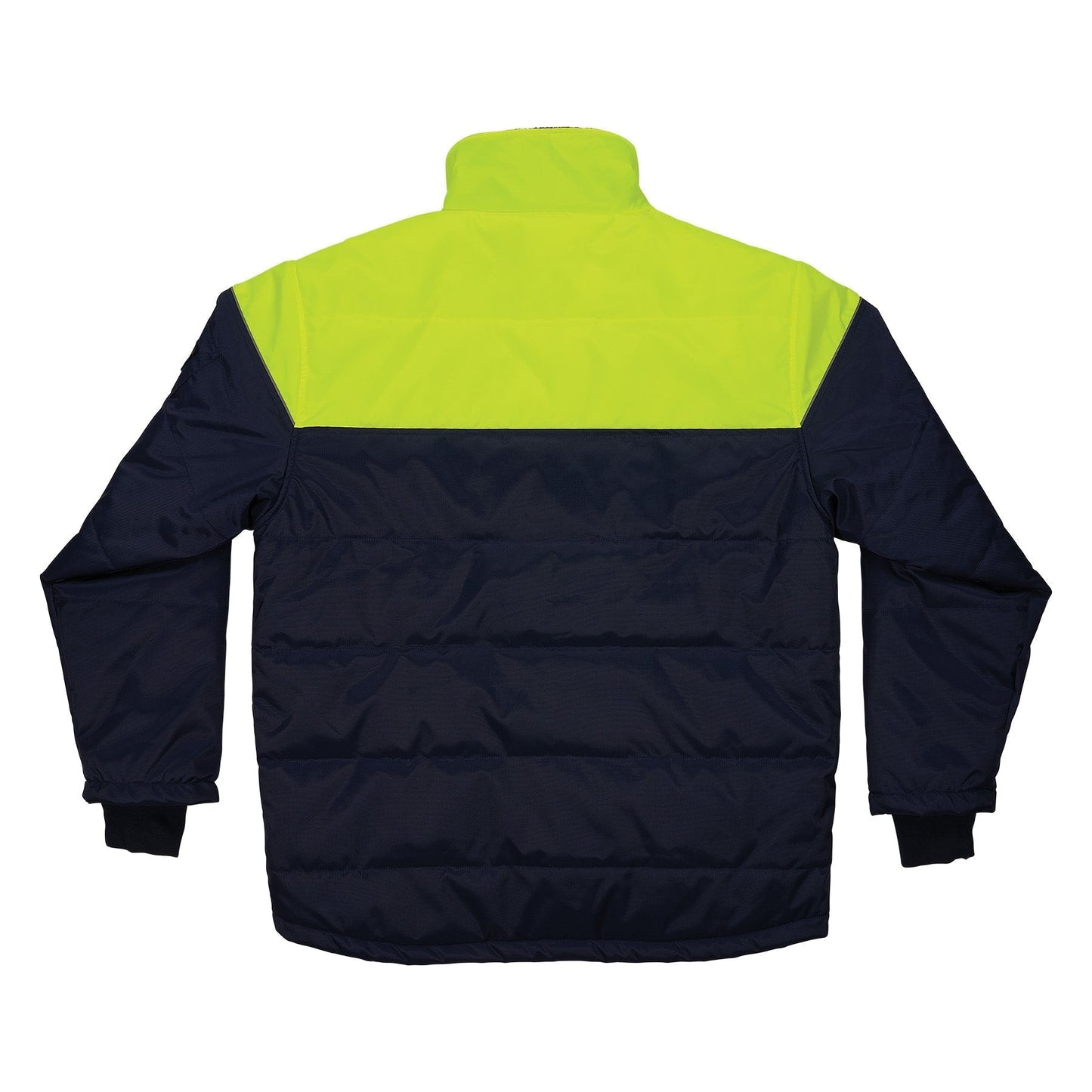 Blue Jackets | Insulated Jacket - Ergodyne - Warm Design