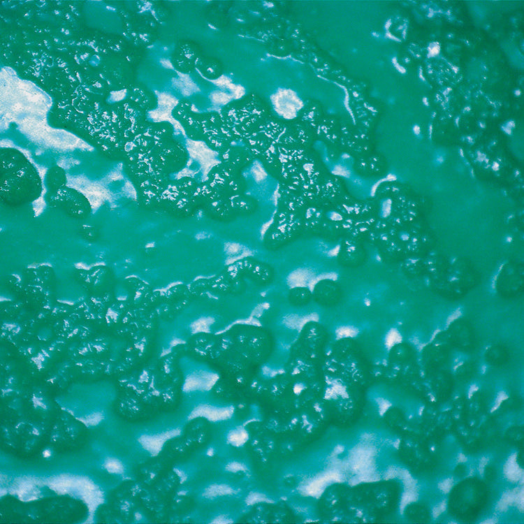 Green Rubber Gloves - Global Glove - Extra Long Nitrile