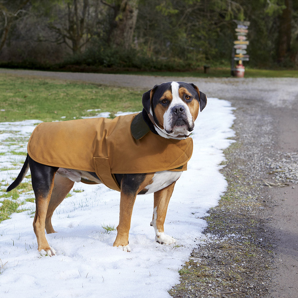Carhartt Brown Dog Coats - Carhartt - Durable Design