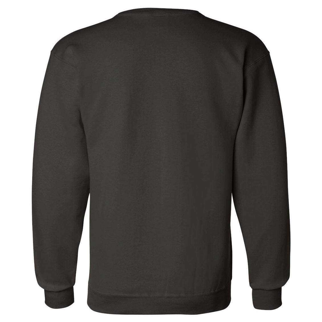 Black Sweatshirts - Champion - Eco Friendly Material