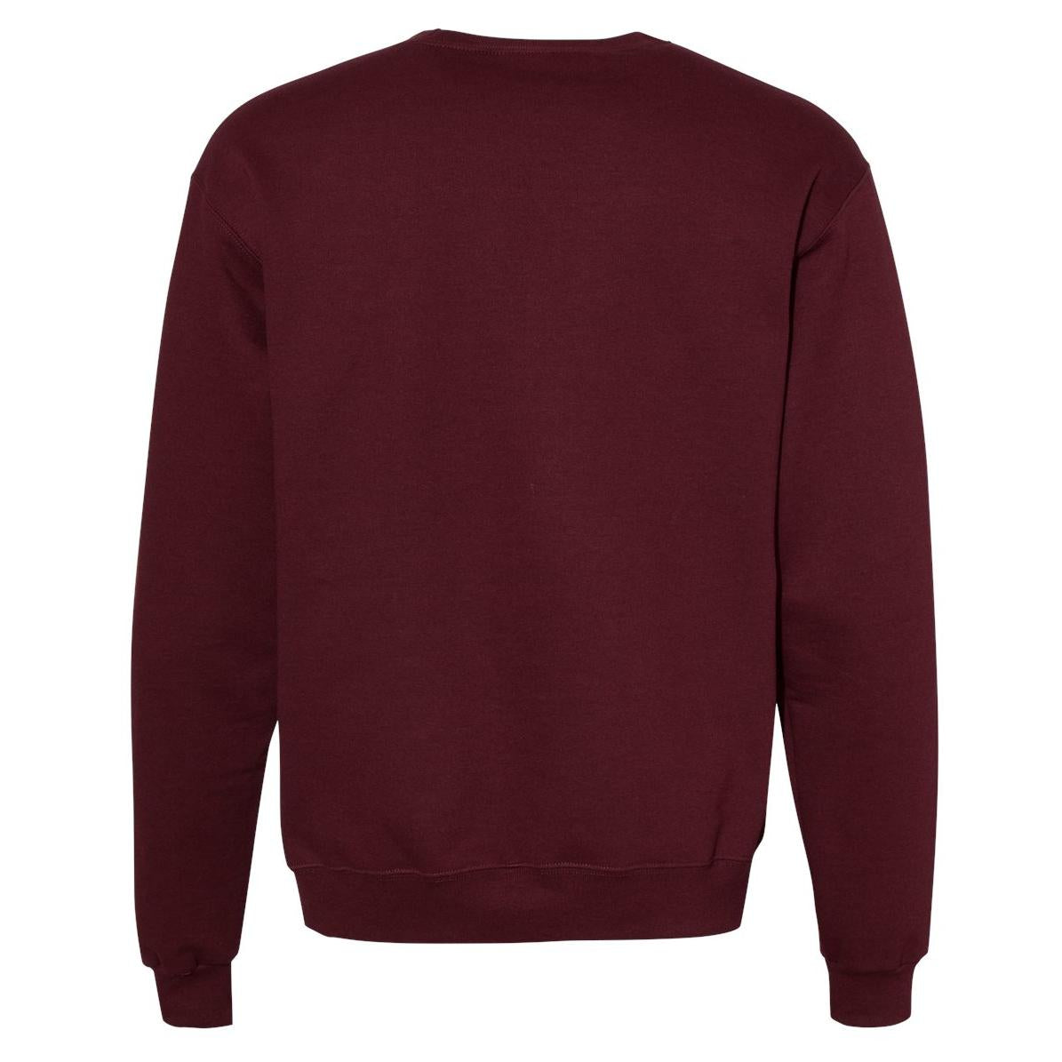 Black Sweatshirts - Champion - Eco Friendly Material