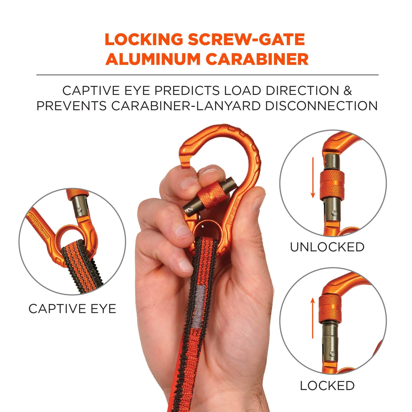 10lbs Tool Lanyards - Ergodyne - Durable Design